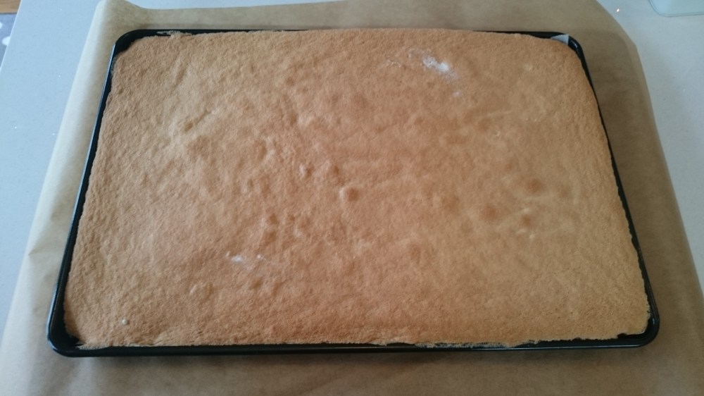 Sponge in Tray